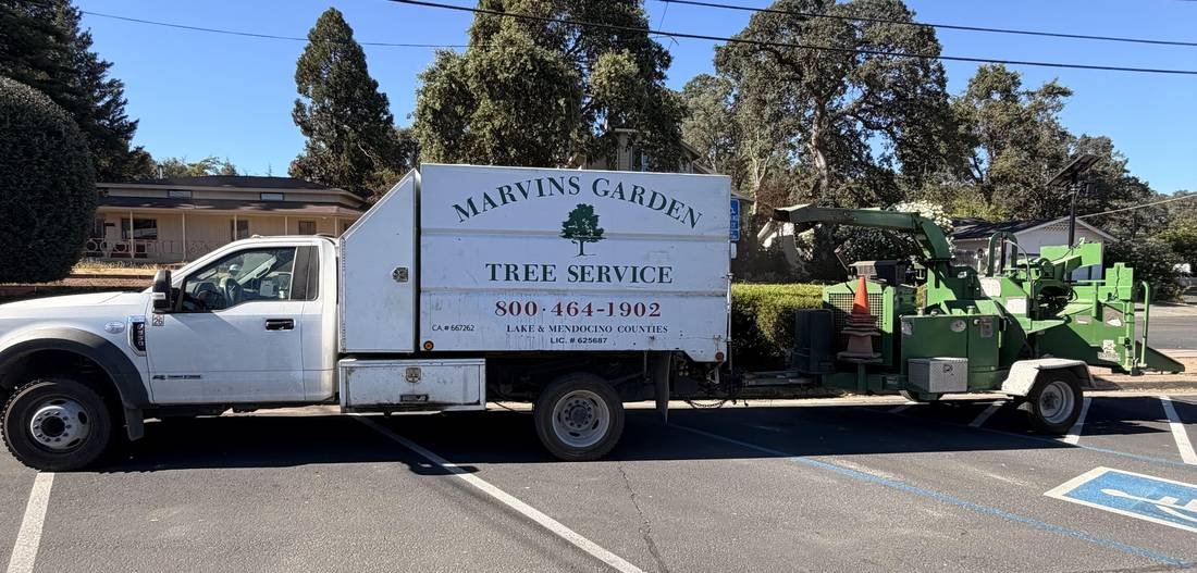 Marvin's Garden Tree Service chip truck and wood chipper parked on a job site in Willits, CA